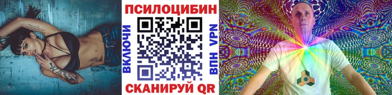 купить наркотики сайты  Катав-Ивановск  Псилоцибиновые грибы мухоморы 